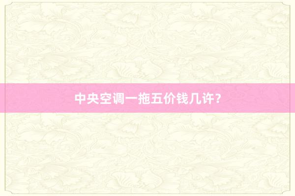 中央空调一拖五价钱几许？