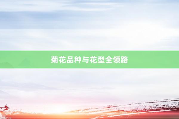 菊花品种与花型全领路