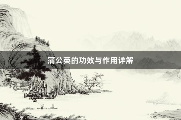 蒲公英的功效与作用详解