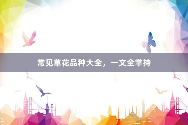 常见草花品种大全，一文全掌持