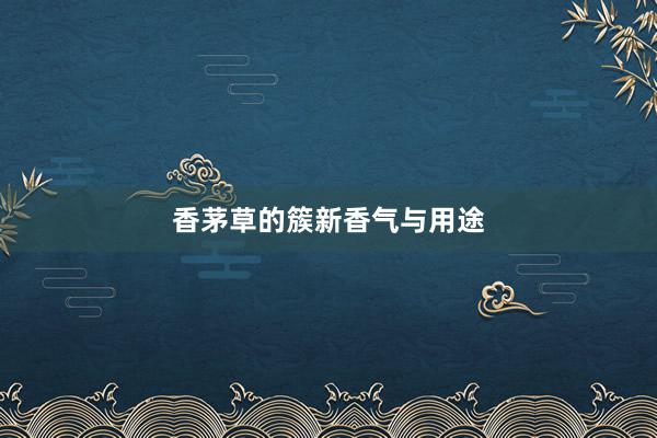 香茅草的簇新香气与用途